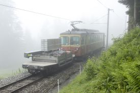 1620 IMG 3669 BLM