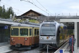 1740 DSF6509