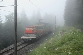 2010 BLM IMG 3694 Holzmasten