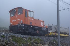 3110 IMG 2586